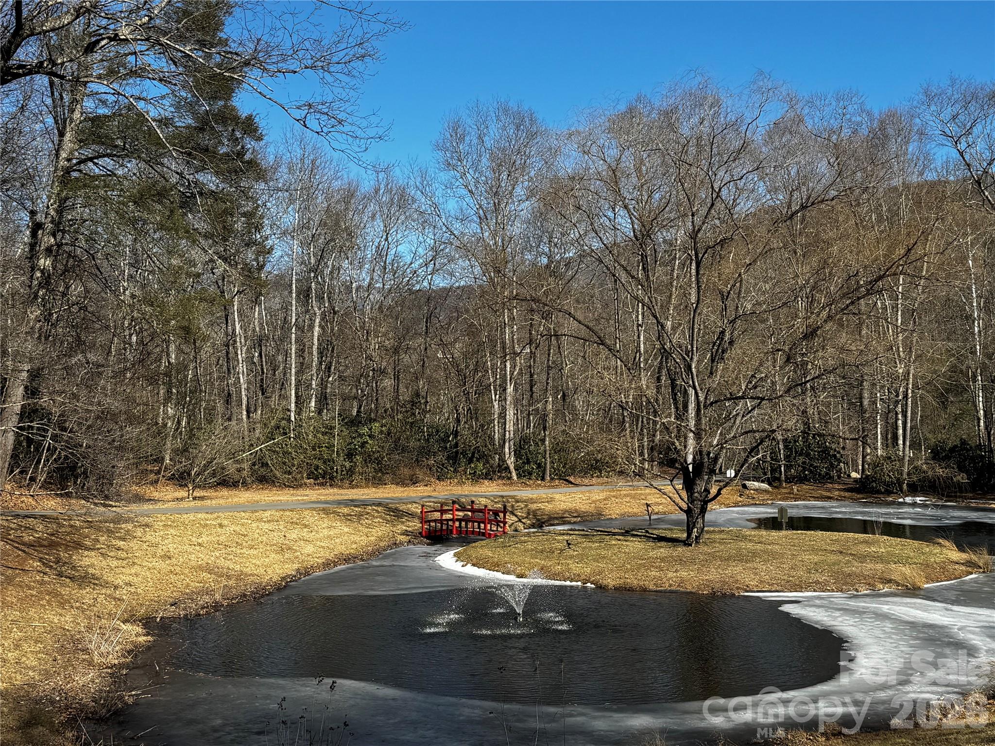 Tbd Acacia Court Black Mountain NC 28711