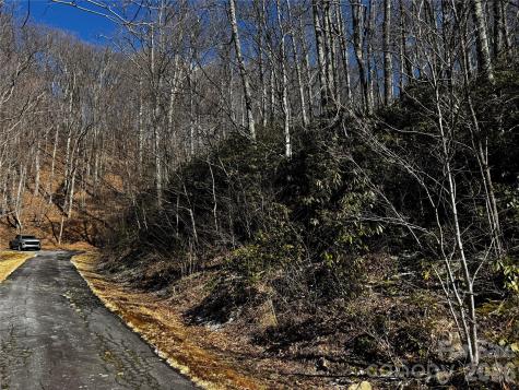 Tbd Acacia Court Black Mountain NC 28711