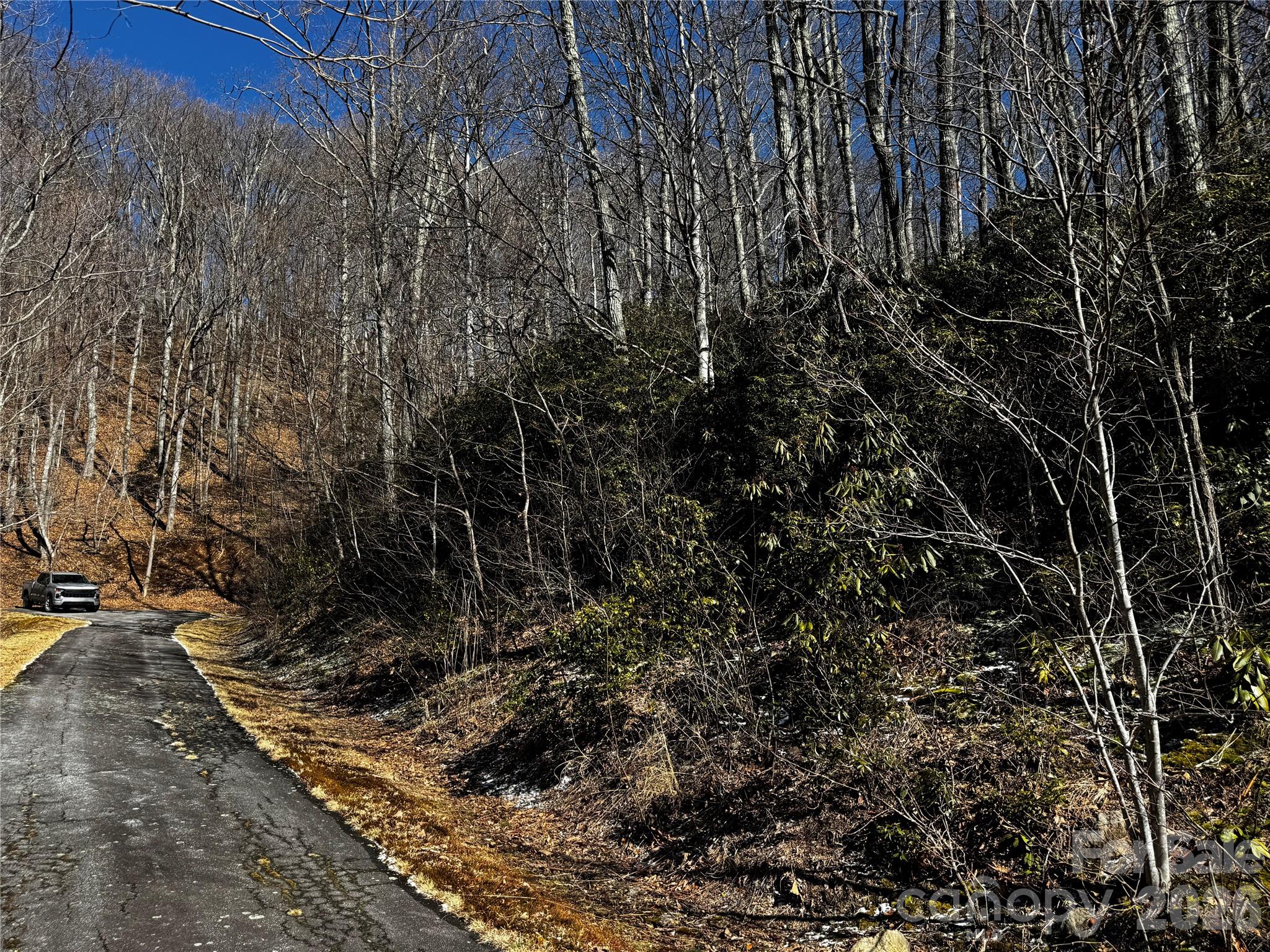 Tbd Acacia Court Black Mountain NC 28711