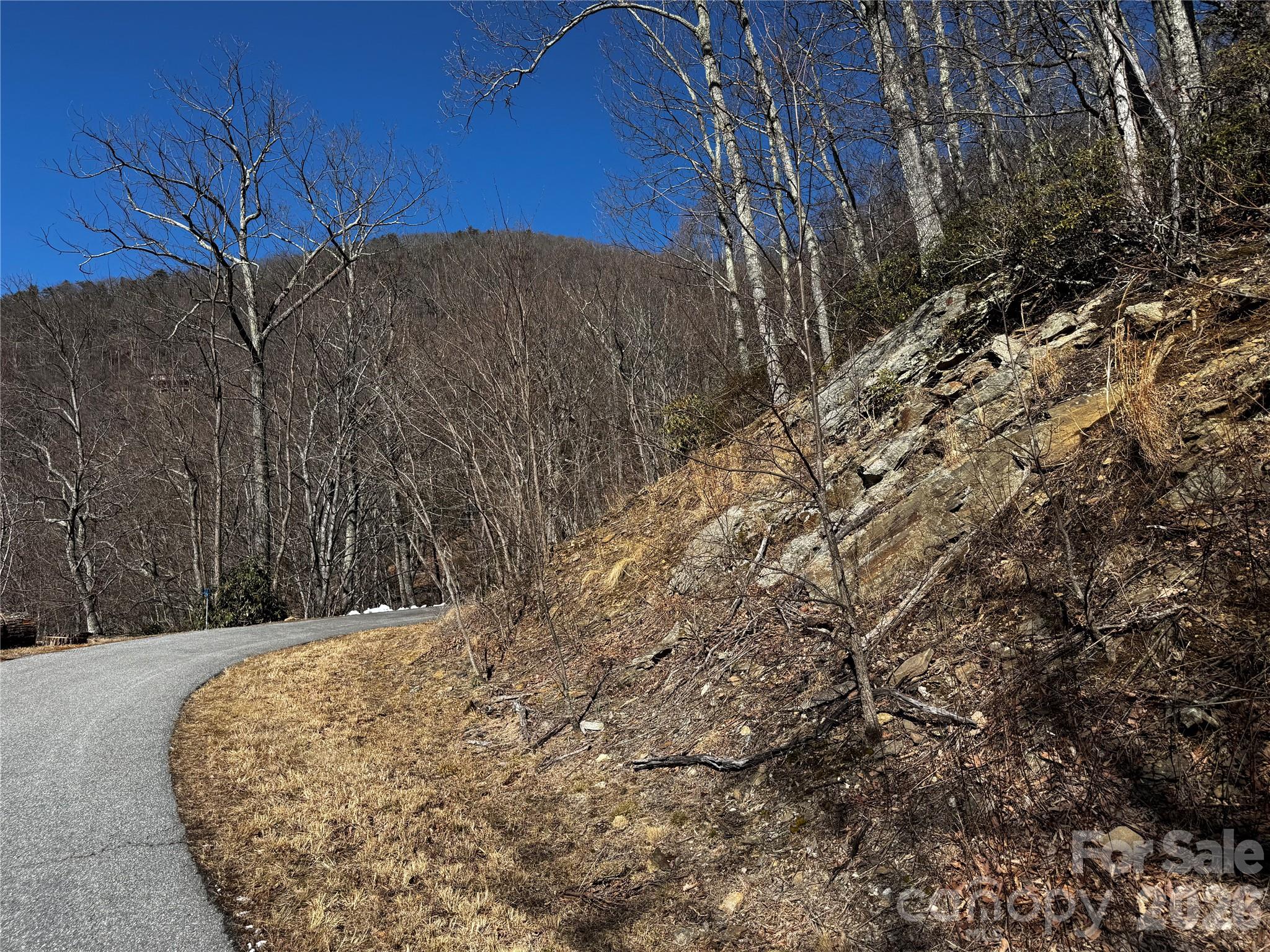 Tbd Acacia Court Black Mountain NC 28711