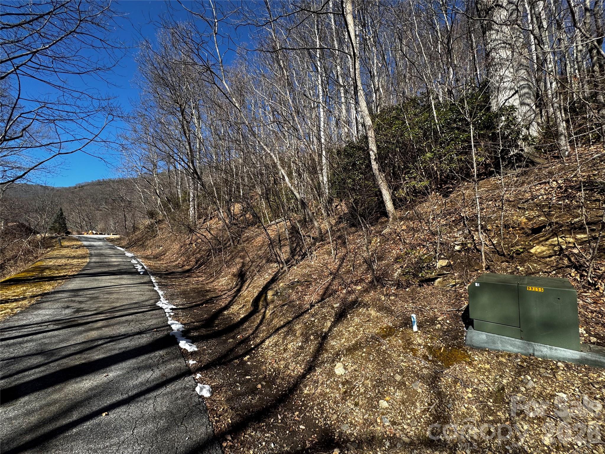 Tbd Acacia Court Black Mountain NC 28711