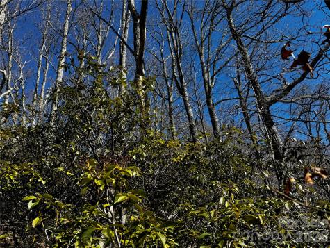 Tbd Acacia Court Black Mountain NC 28711