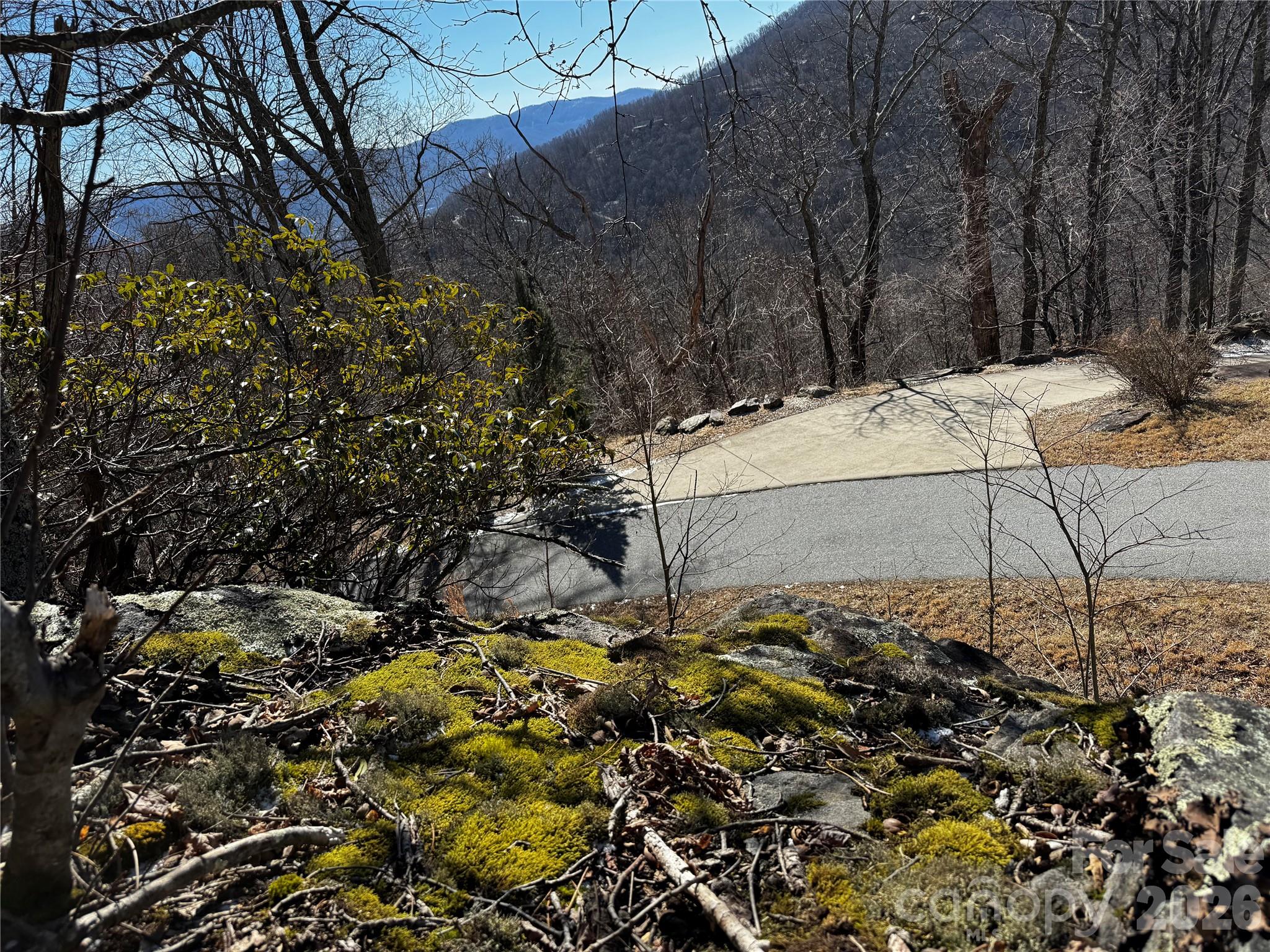 Tbd Acacia Court Black Mountain NC 28711