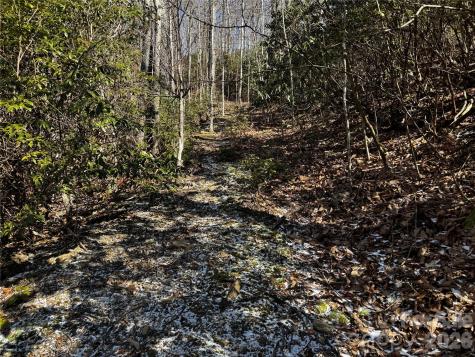 Tbd Acacia Court Black Mountain NC 28711