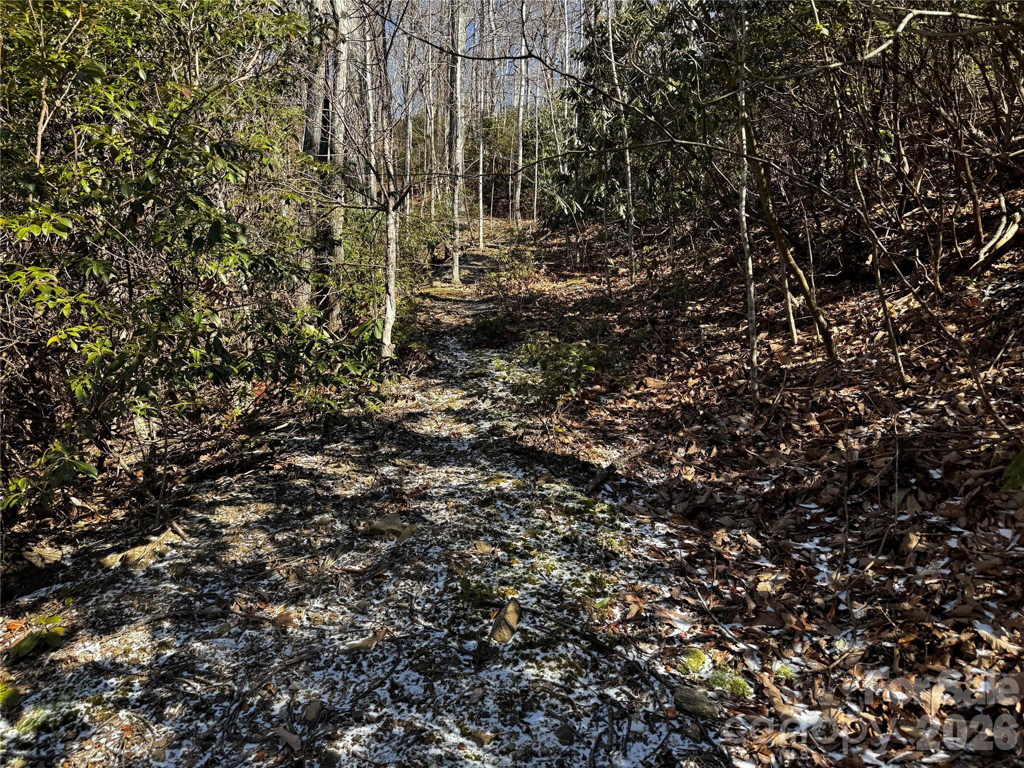 Tbd Acacia Court Black Mountain NC 28711