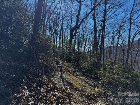 Tbd Acacia Court Black Mountain NC 28711