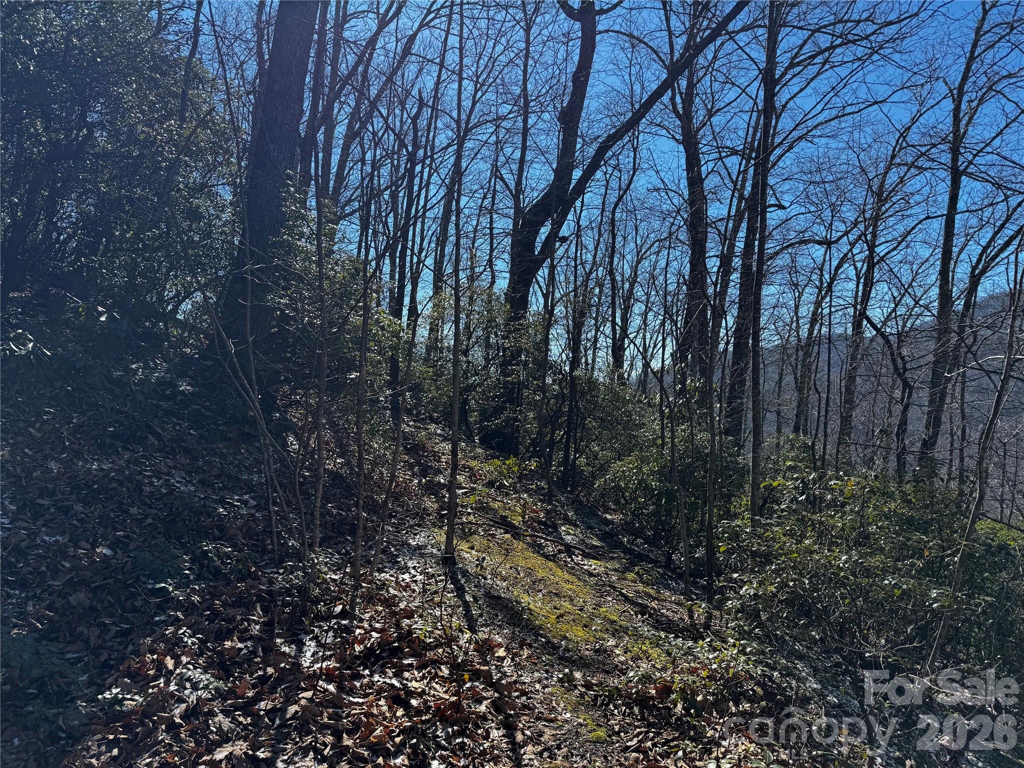 Tbd Acacia Court Black Mountain NC 28711