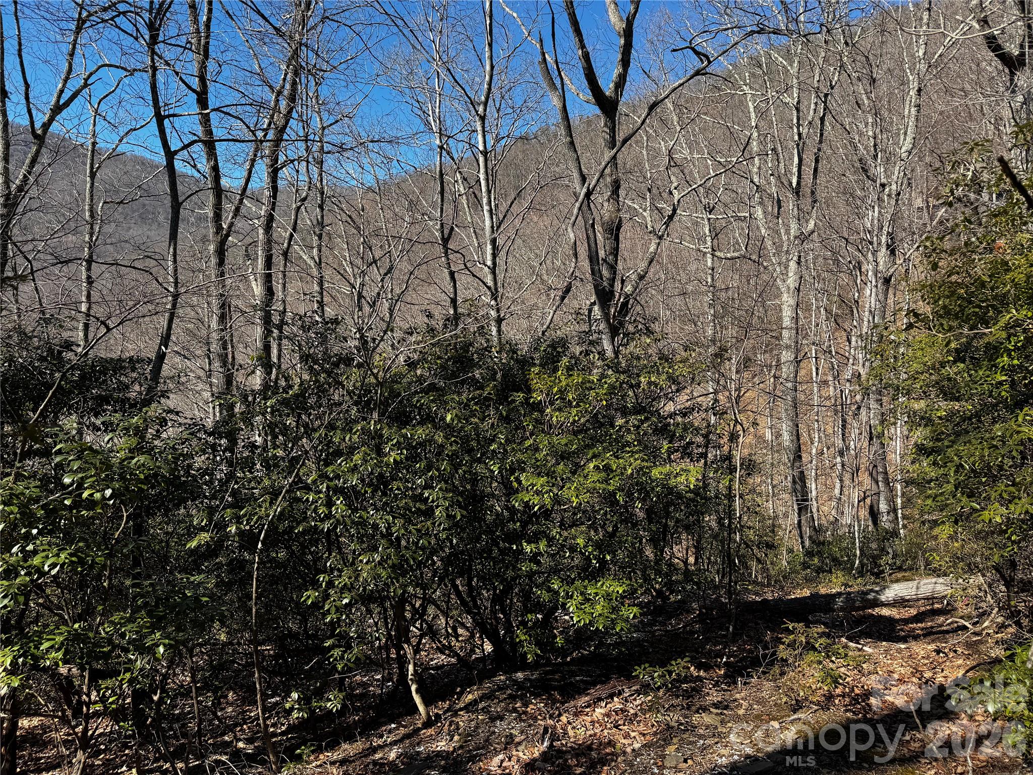 Tbd Acacia Court Black Mountain NC 28711