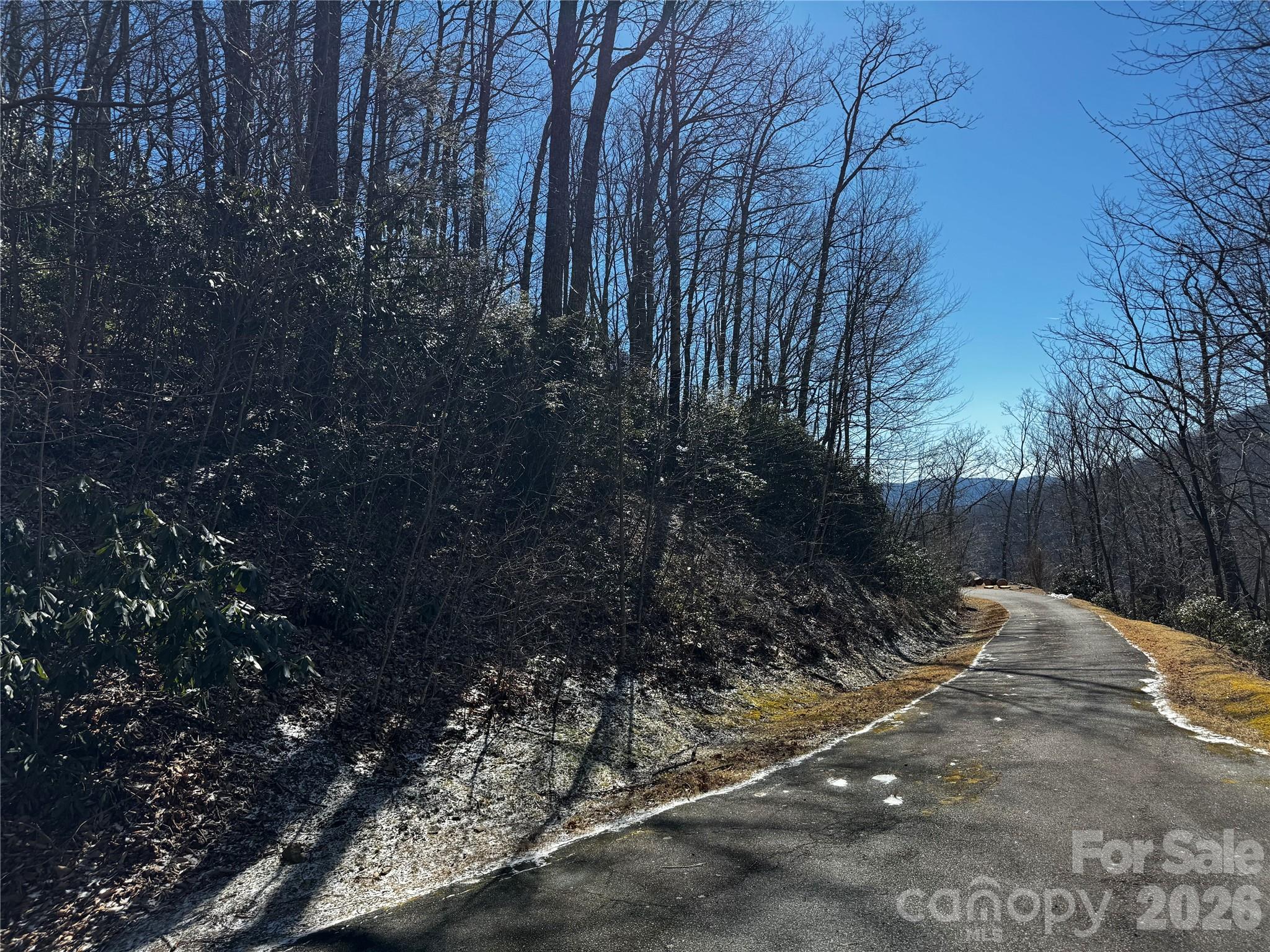 Tbd Acacia Court Black Mountain NC 28711