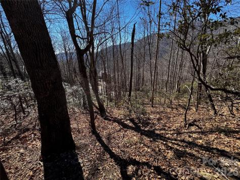 Tbd Acacia Court Black Mountain NC 28711