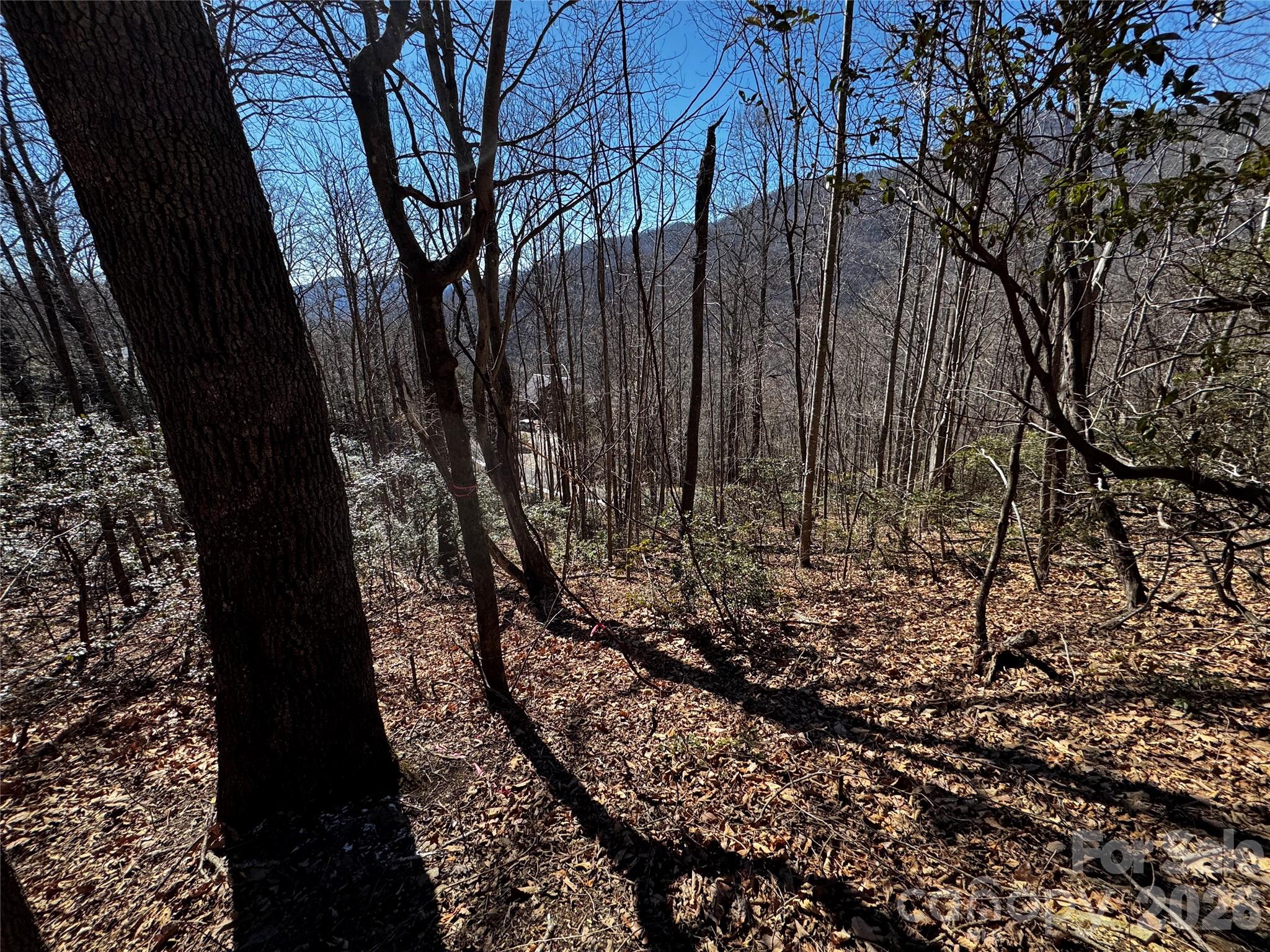 Tbd Acacia Court Black Mountain NC 28711