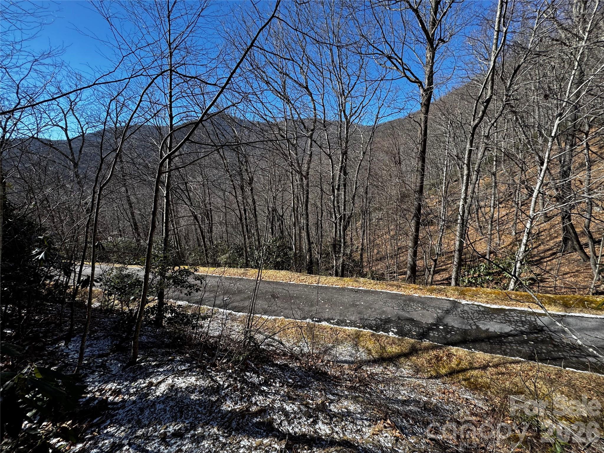 Tbd Acacia Court Black Mountain NC 28711