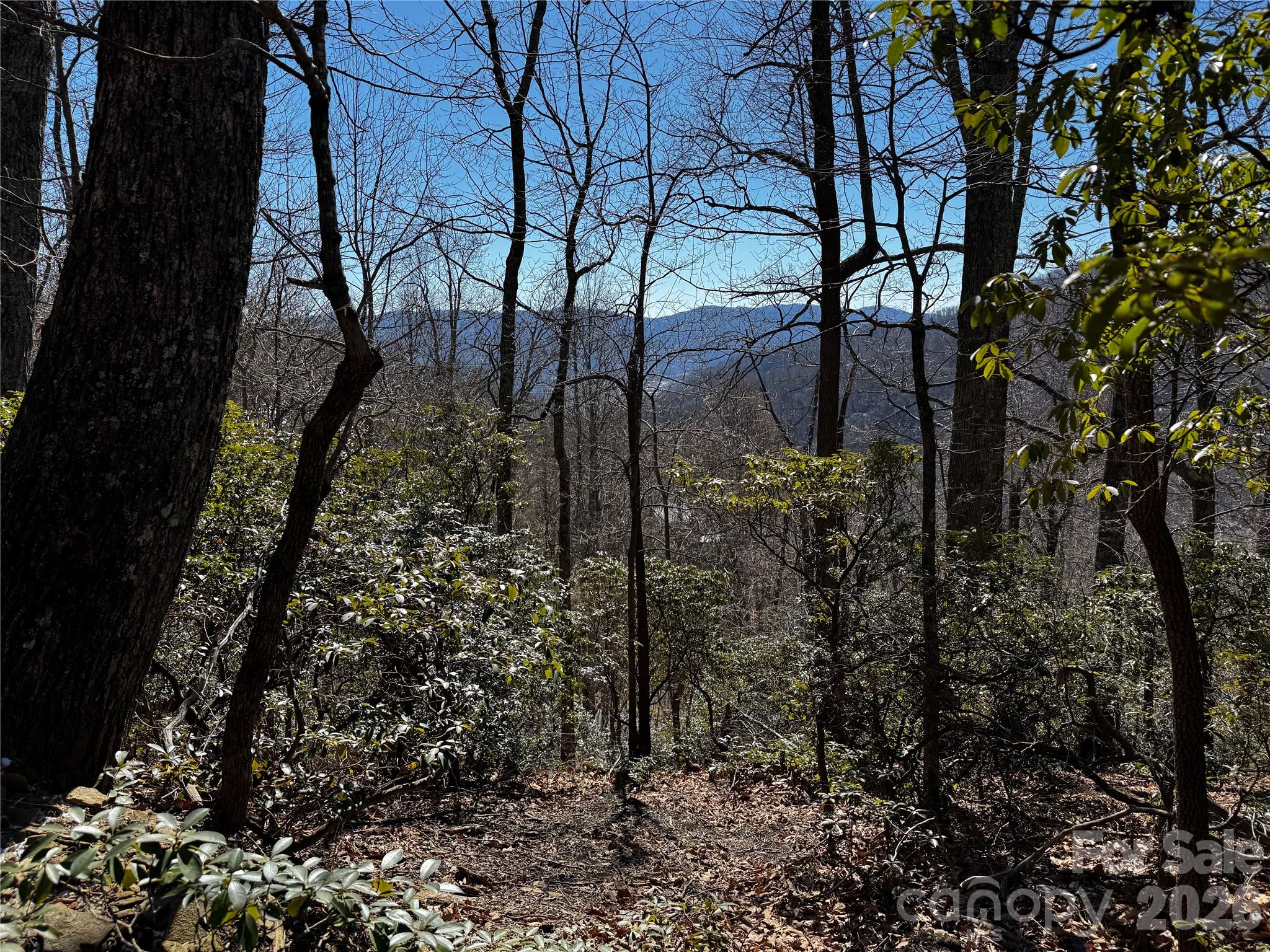 Tbd Acacia Court Black Mountain NC 28711