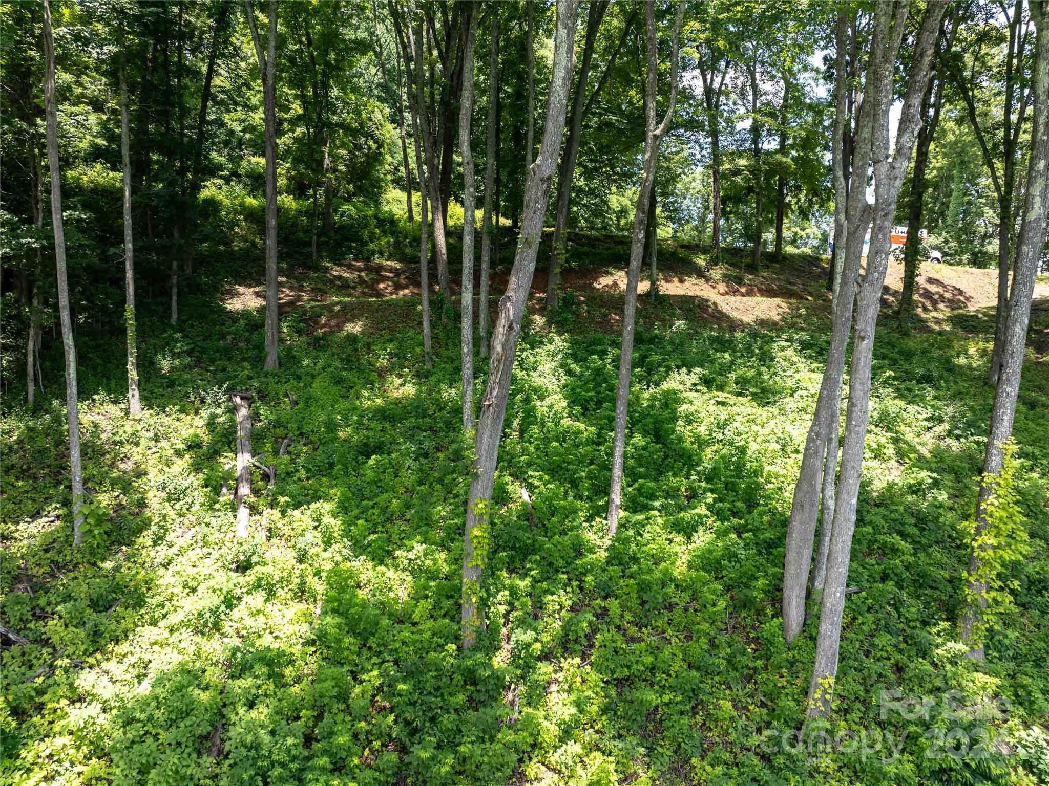 #54 Sleepy Hollow Drive Waynesville NC 28785