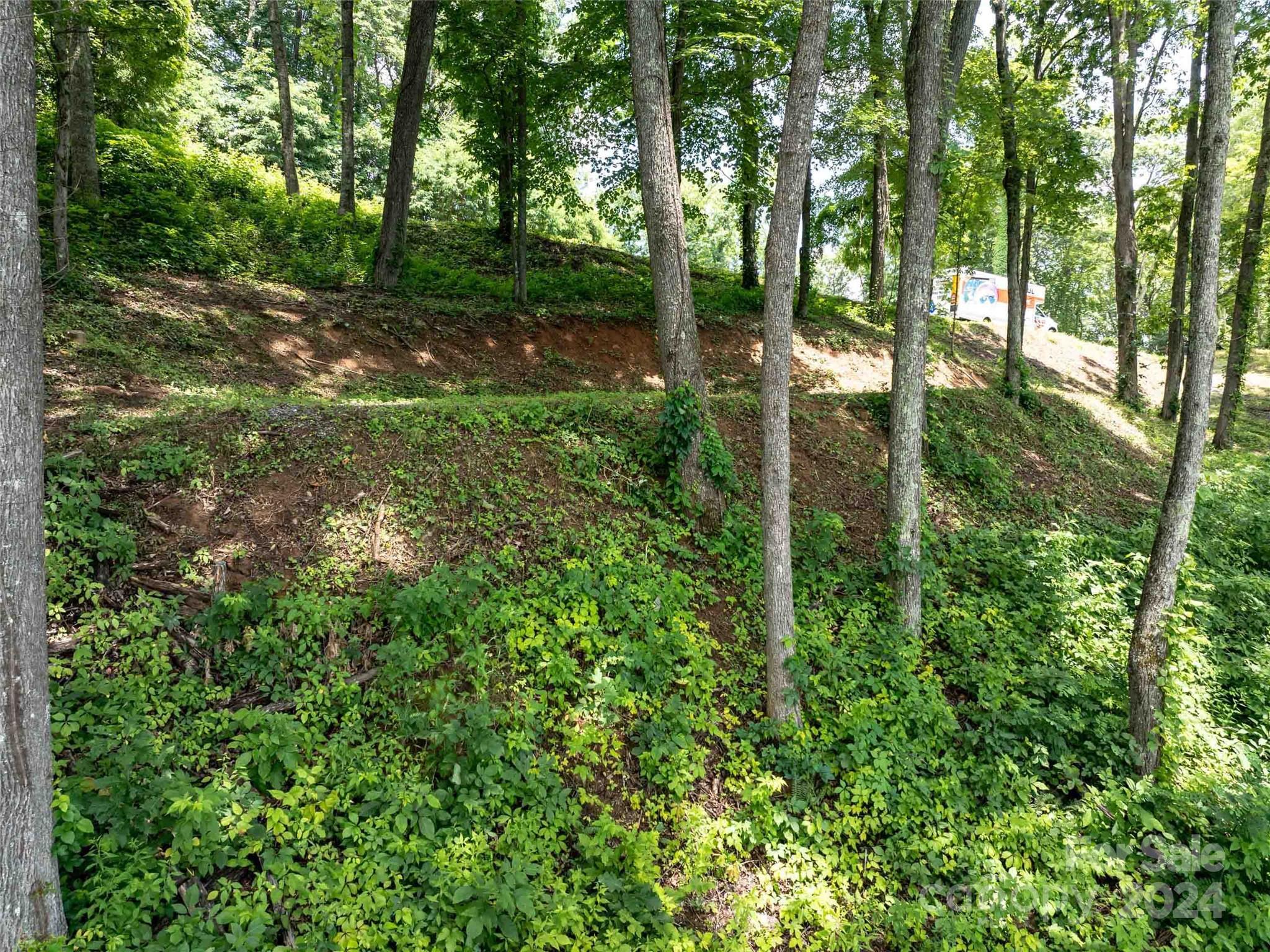 #54 Sleepy Hollow Drive Waynesville NC 28785