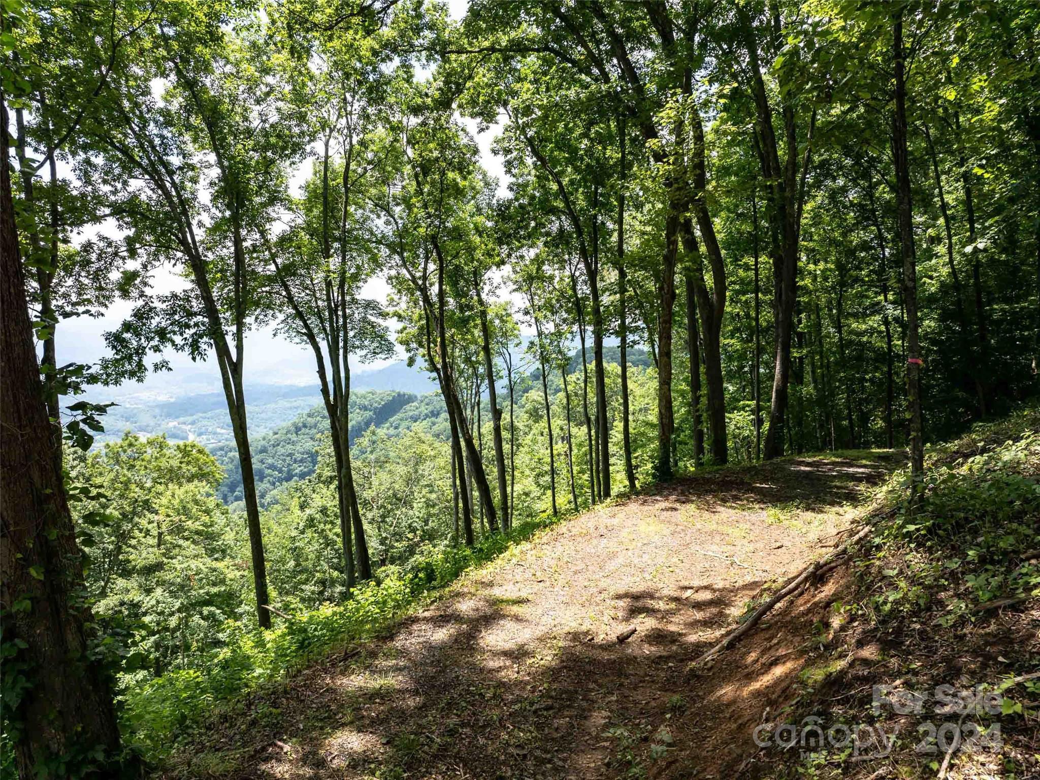 #54 Sleepy Hollow Drive Waynesville NC 28785