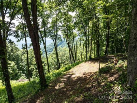 #54 Sleepy Hollow Drive Waynesville NC 28785