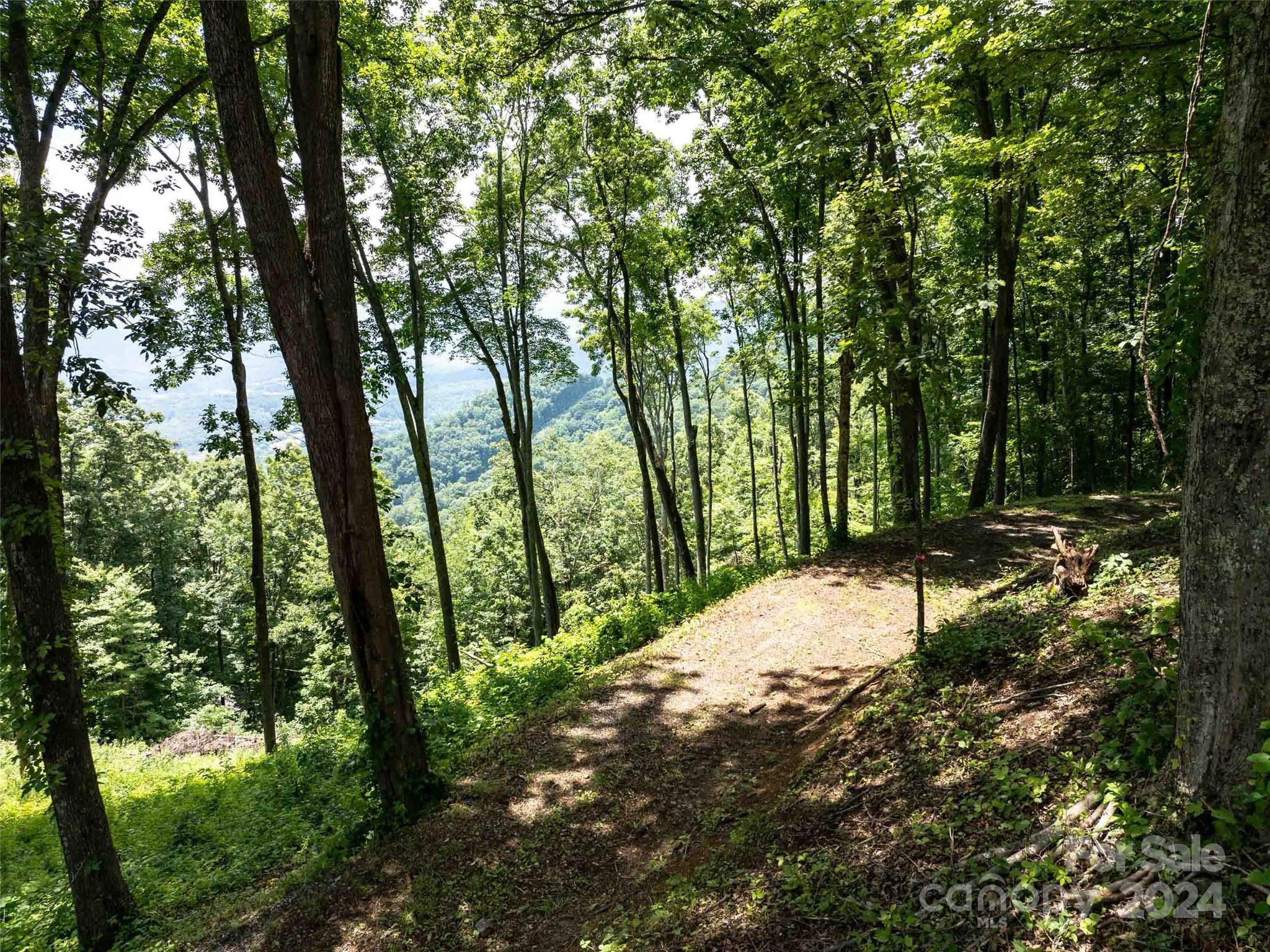 #54 Sleepy Hollow Drive Waynesville NC 28785