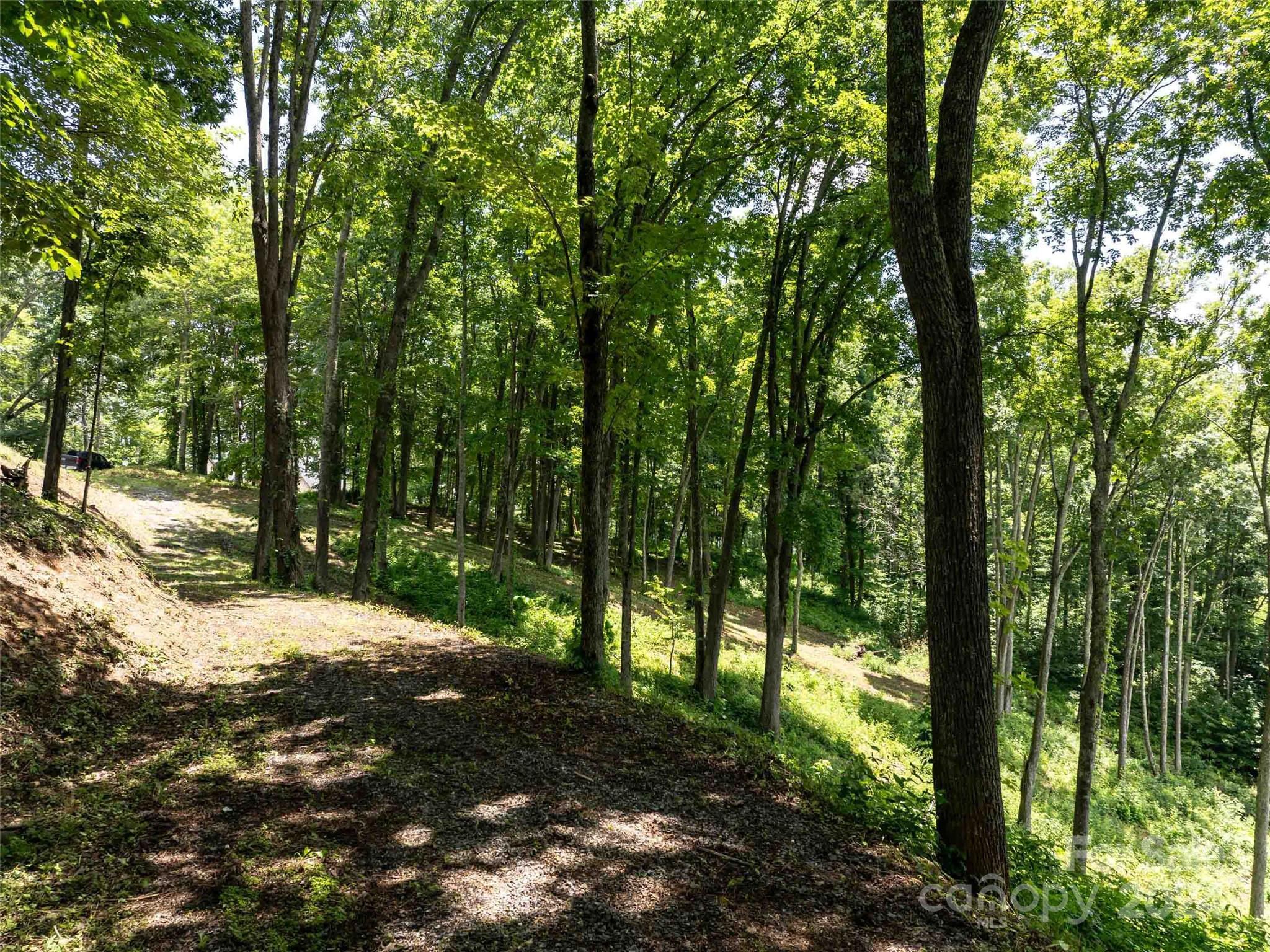 #54 Sleepy Hollow Drive Waynesville NC 28785