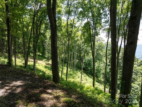#54 Sleepy Hollow Drive Waynesville NC 28785
