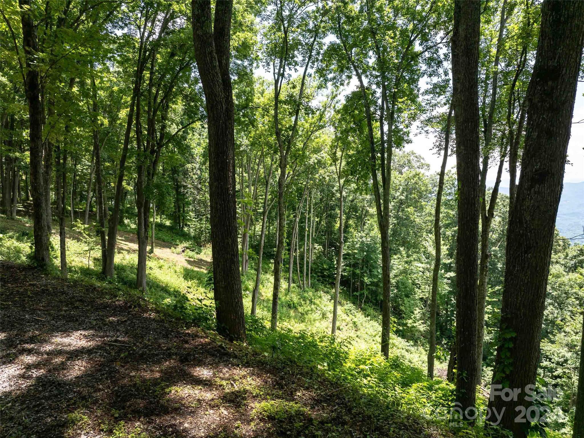 #54 Sleepy Hollow Drive Waynesville NC 28785