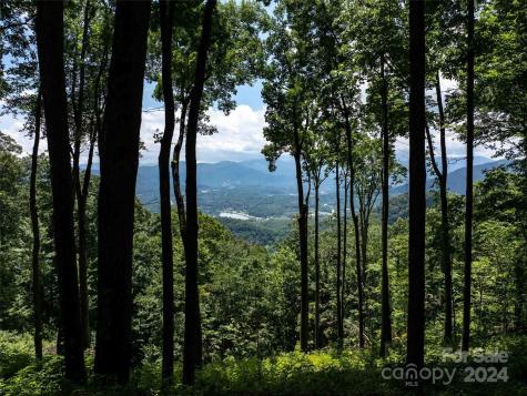 #54 Sleepy Hollow Drive Waynesville NC 28785