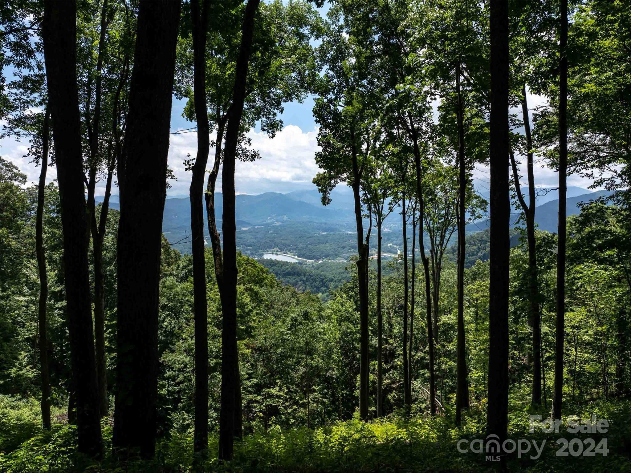 #54 Sleepy Hollow Drive Waynesville NC 28785