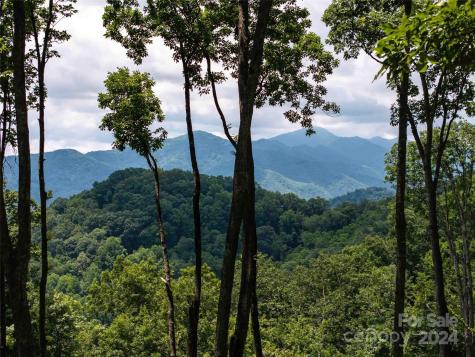 #54 Sleepy Hollow Drive Waynesville NC 28785