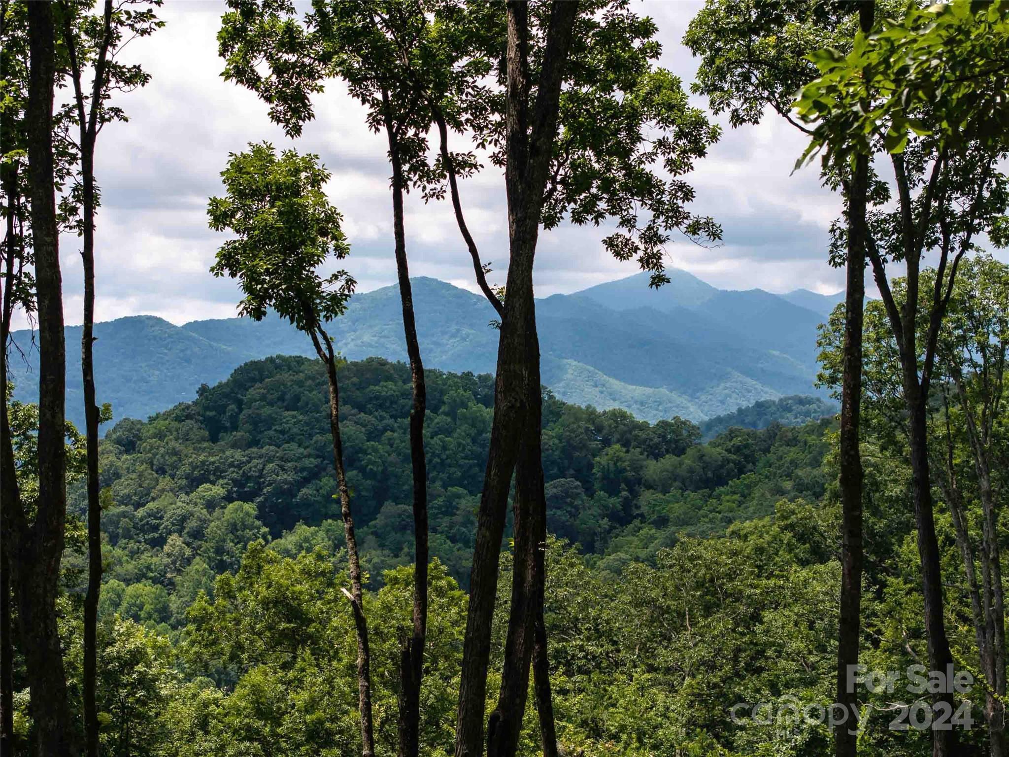 #54 Sleepy Hollow Drive Waynesville NC 28785