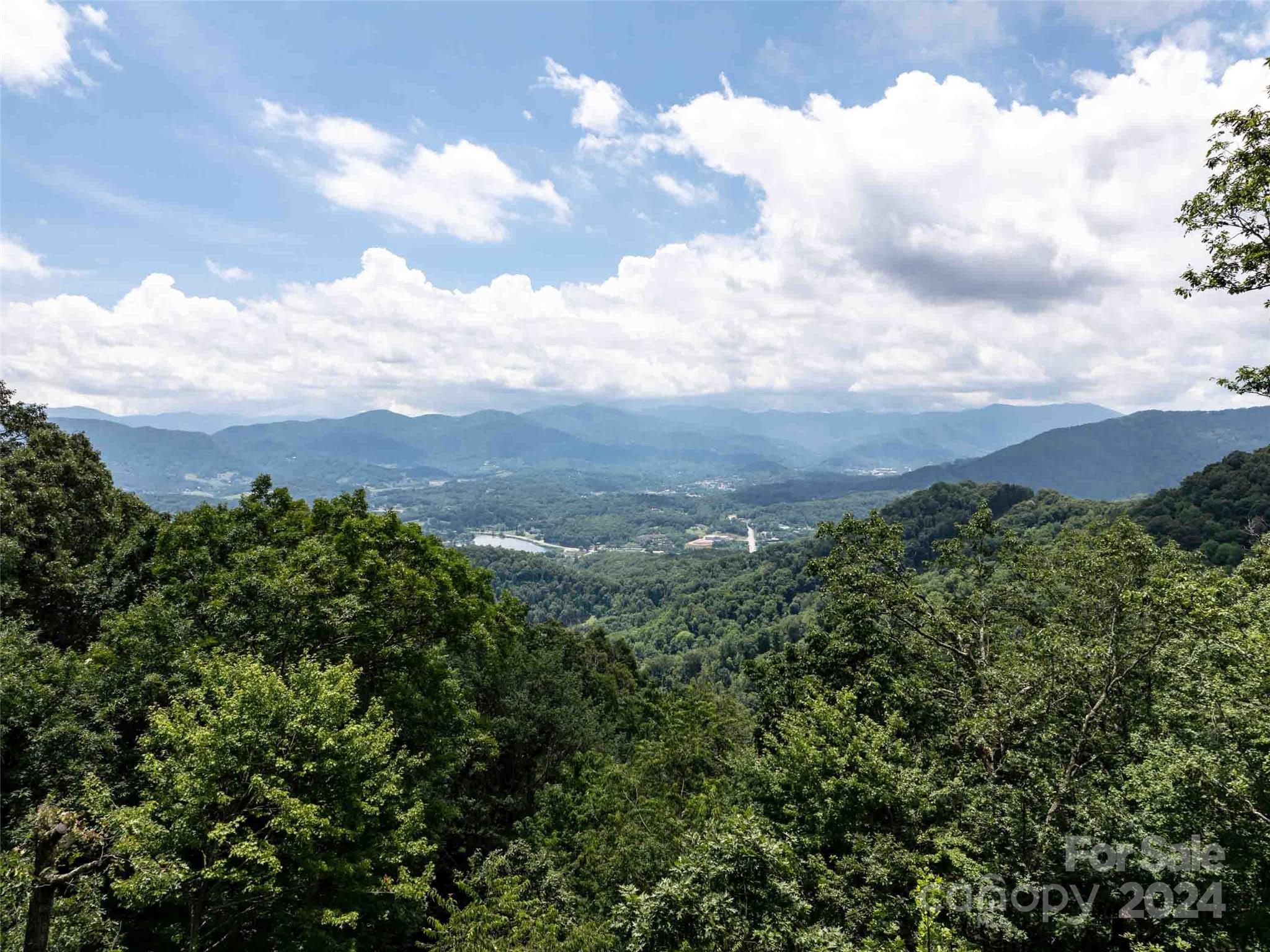 #54 Sleepy Hollow Drive Waynesville NC 28785