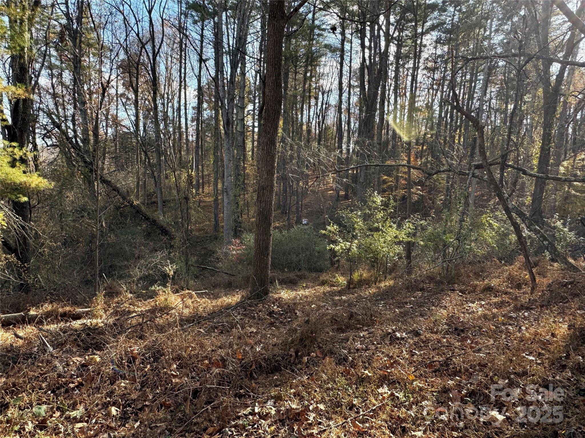 99999 Macedonia Road Alexander NC 28701
