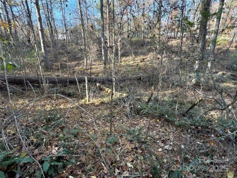99999 Macedonia Road Alexander NC 28701