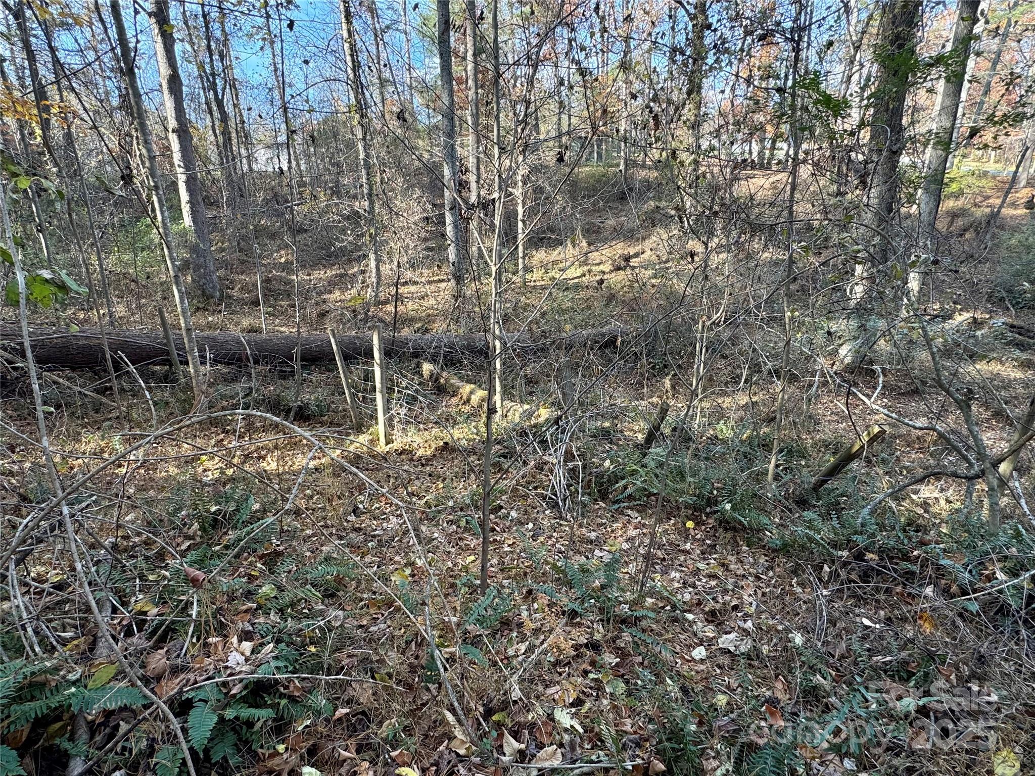 99999 Macedonia Road Alexander NC 28701