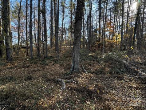 99999 Macedonia Road Alexander NC 28701