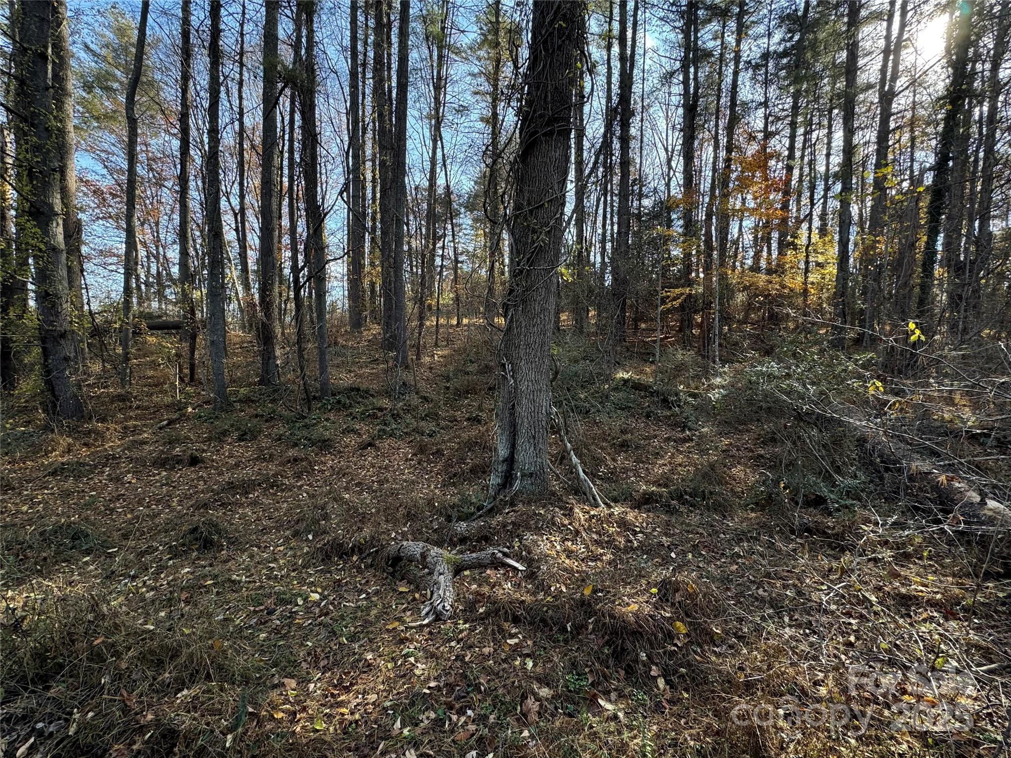 99999 Macedonia Road Alexander NC 28701