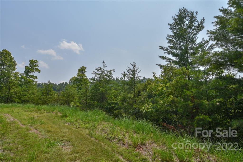 Lot 11 The Vines Boulevard Marshall NC 28753