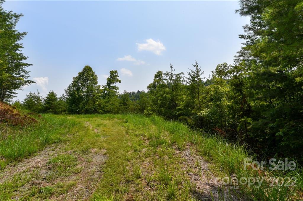 Lot 11 The Vines Boulevard Marshall NC 28753