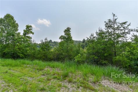 Lot 11 The Vines Boulevard Marshall NC 28753