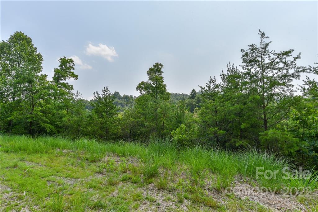Lot 11 The Vines Boulevard Marshall NC 28753