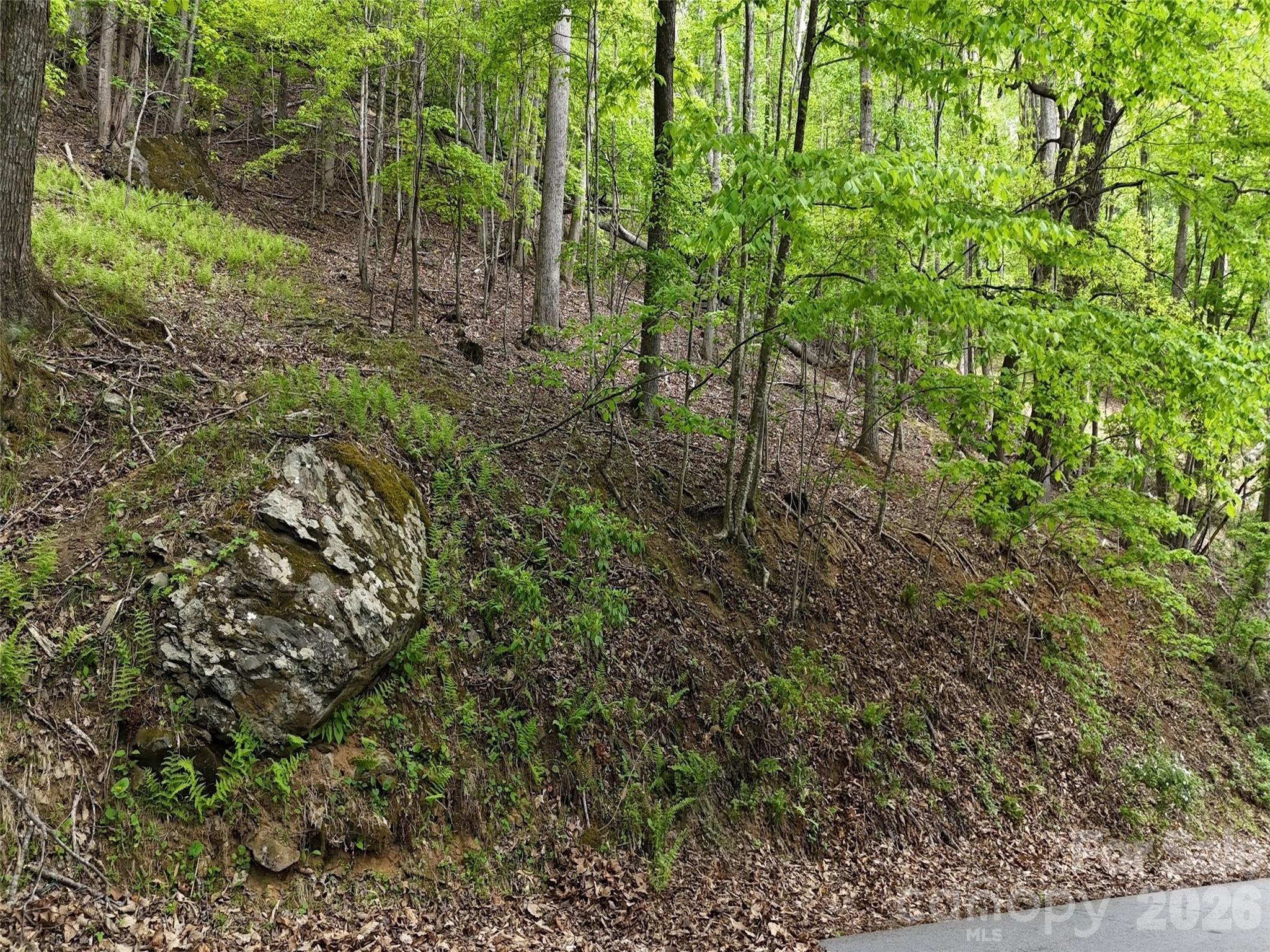 Lot #117 Honey Locust Drive Mills River NC 28759