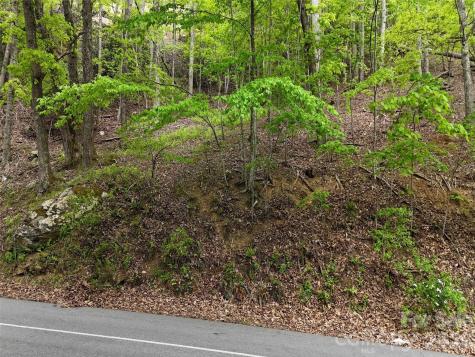 Lot #117 Honey Locust Drive Mills River NC 28759