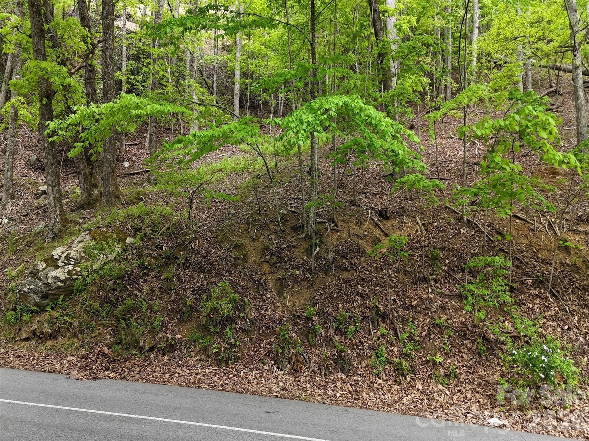 Lot #117 Honey Locust Drive Mills River NC 28759