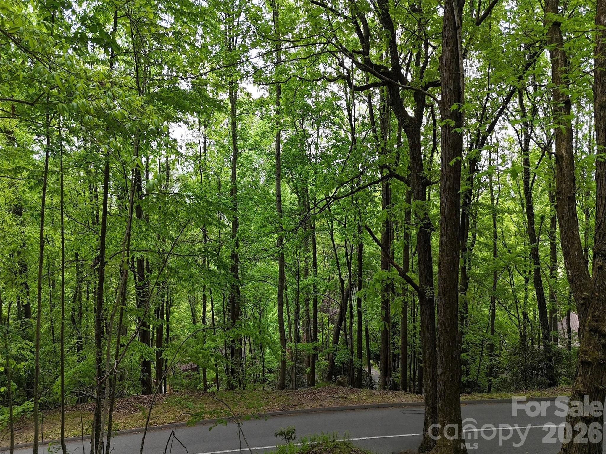 Lot #117 Honey Locust Drive Mills River NC 28759
