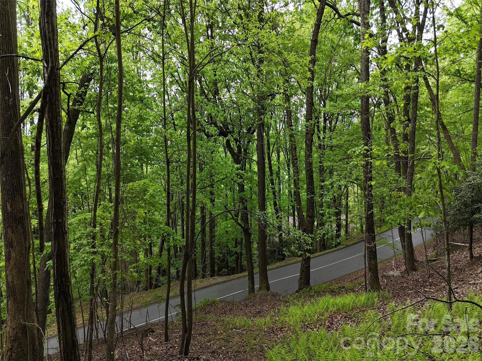 Lot #117 Honey Locust Drive Mills River NC 28759