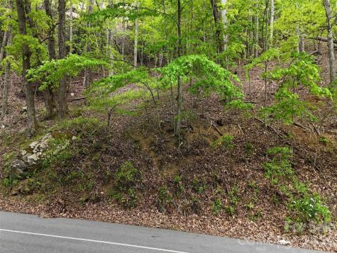 Lot #117 Honey Locust Drive Mills River NC 28759