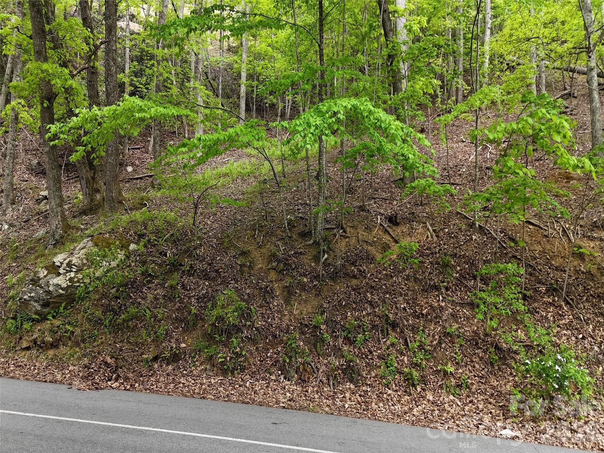 Lot #117 Honey Locust Drive Mills River NC 28759