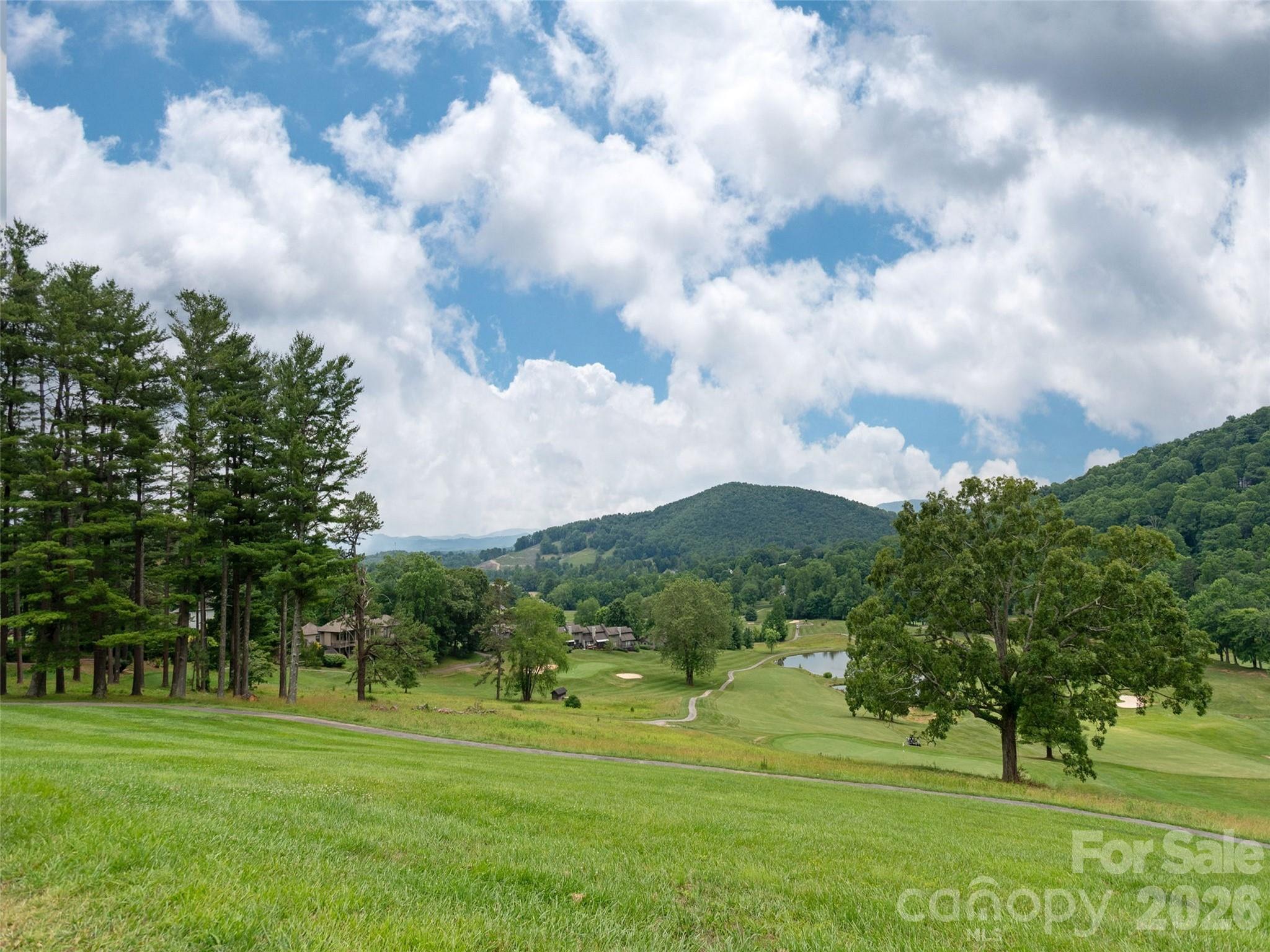 Lot #117 Honey Locust Drive Mills River NC 28759