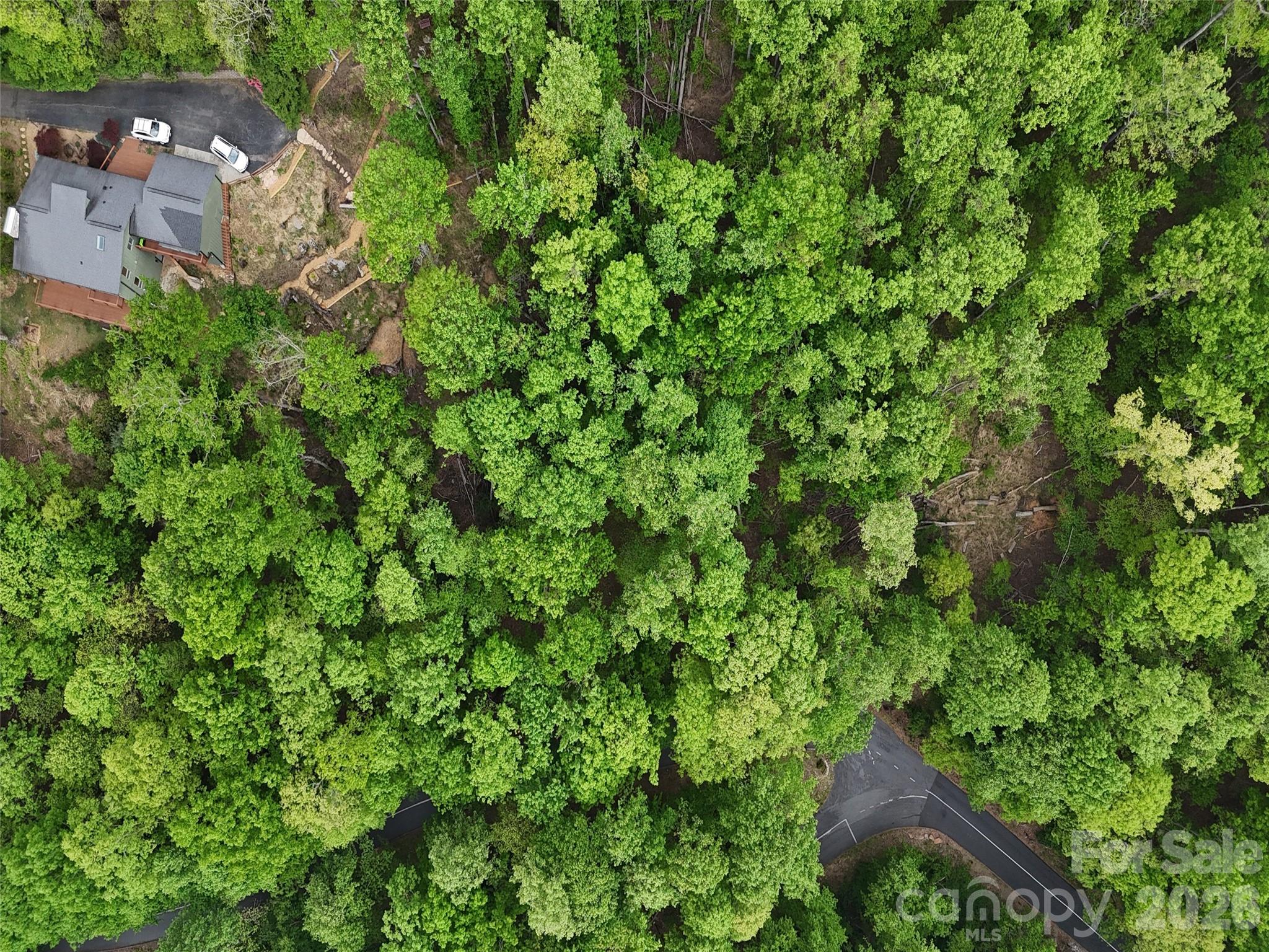 Lot #117 Honey Locust Drive Mills River NC 28759