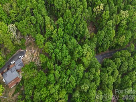 Lot #117 Honey Locust Drive Mills River NC 28759