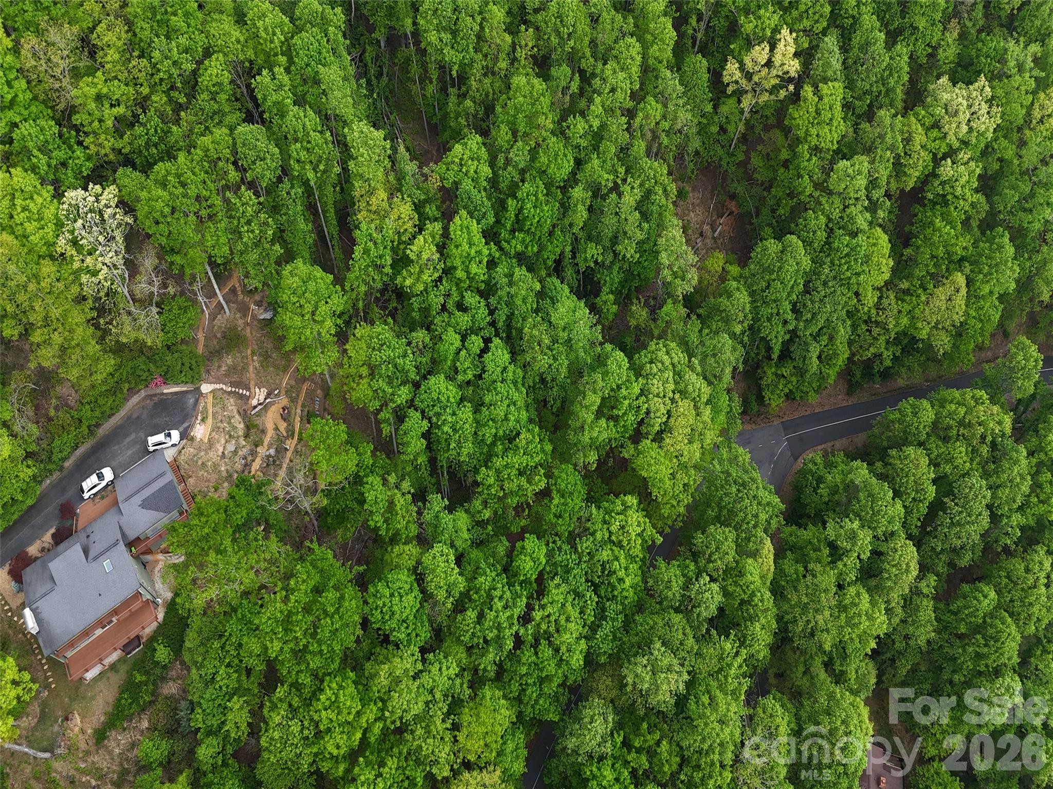 Lot #117 Honey Locust Drive Mills River NC 28759